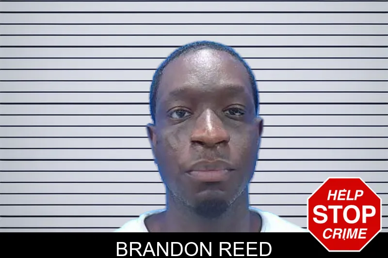 Brandon Reed mugshot