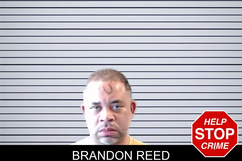 Brandon Reed mugshot – DeKalb County , Georgia Brandon Reed mugshot