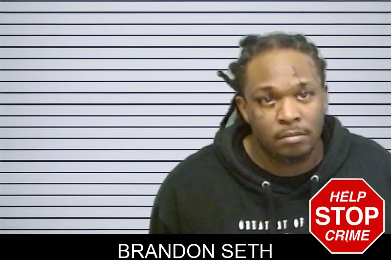 Brandon Seth mugshot – Fulton County , Georgia Brandon Seth mugshot