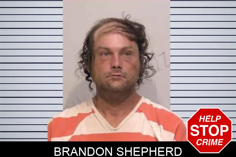 Brandon Shepherd mugshot – Bartow County , Georgia Brandon Shepherd mugshot