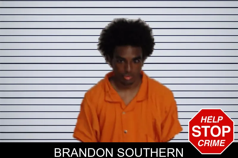 Brandon Southern mugshot