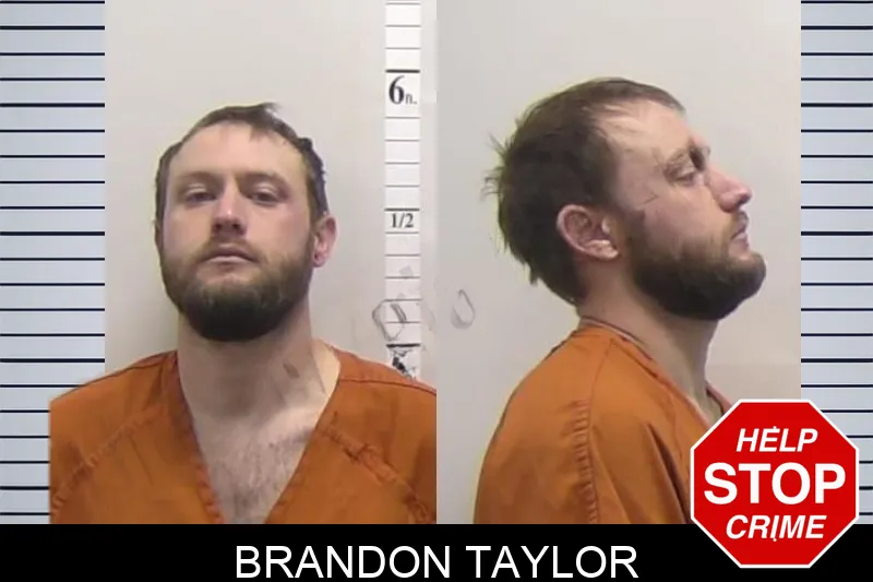 Brandon Taylor mugshot
