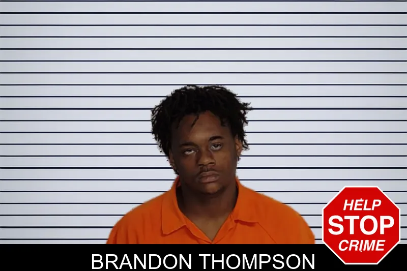 Brandon Thompson mugshot – Rockdale County , Georgia Brandon Thompson mugshot