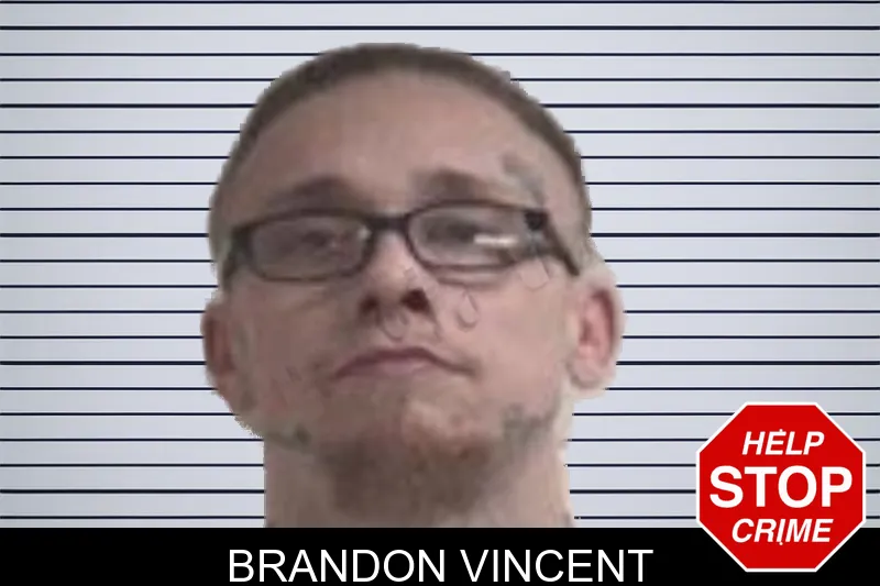 Brandon Vincent mugshot – Henry County , Georgia Brandon Vincent mugshot