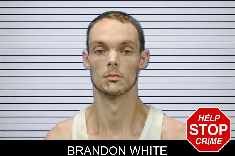 Brandon White mugshot – Troup County , Georgia Brandon White mugshot