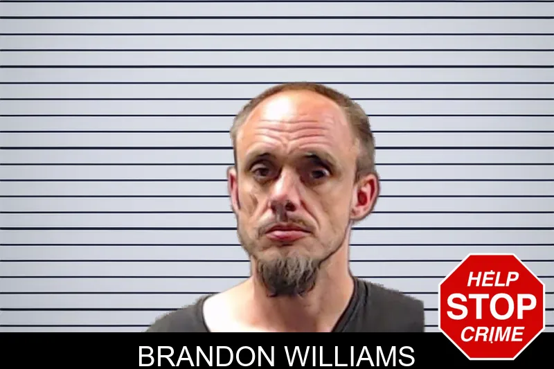 Brandon Williams mugshot