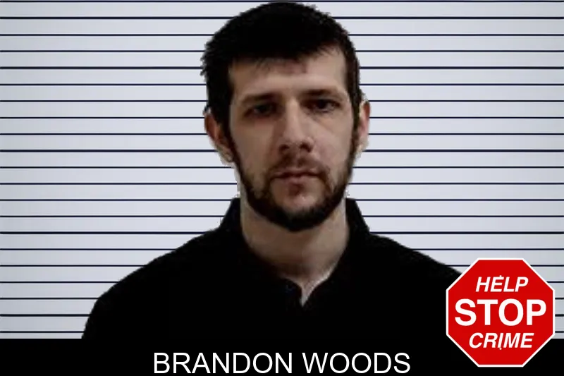 Brandon Woods mugshot – Decatur County , Georgia Brandon Woods mugshot