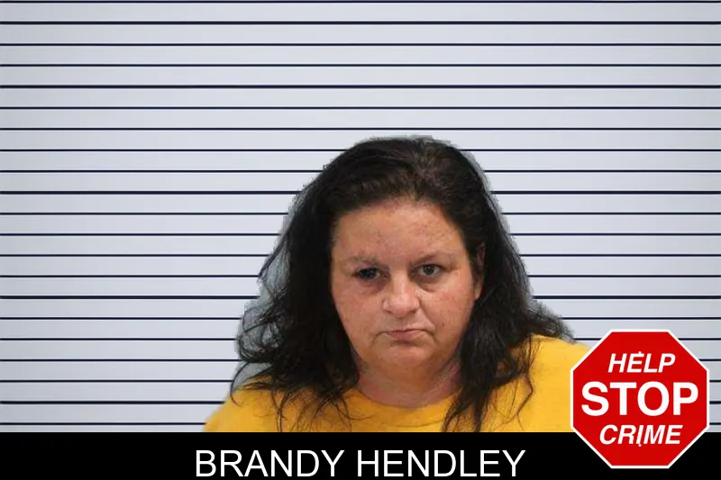 Brandy Hendley mugshot