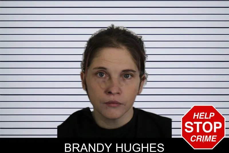 Brandy Hughes mugshot – Floyd County , Georgia Brandy Hughes mugshot