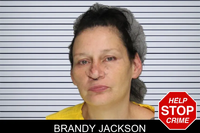 Brandy Jackson mugshot – Cobb County , Georgia Brandy Jackson mugshot