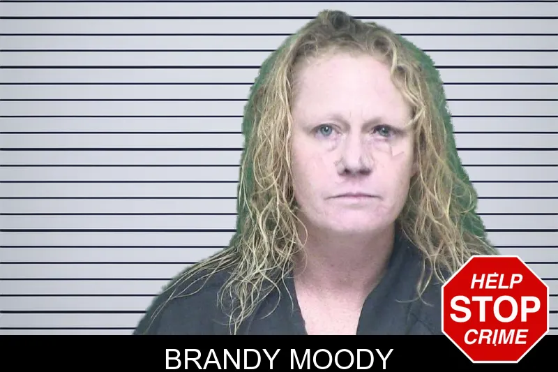 Brandy Moody mugshot – Appling County , Georgia Brandy Moody mugshot
