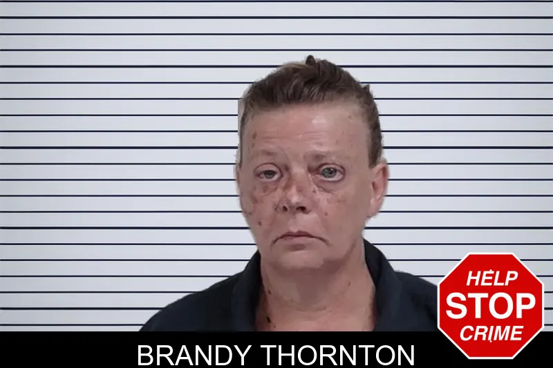 Brandy Thornton mugshot