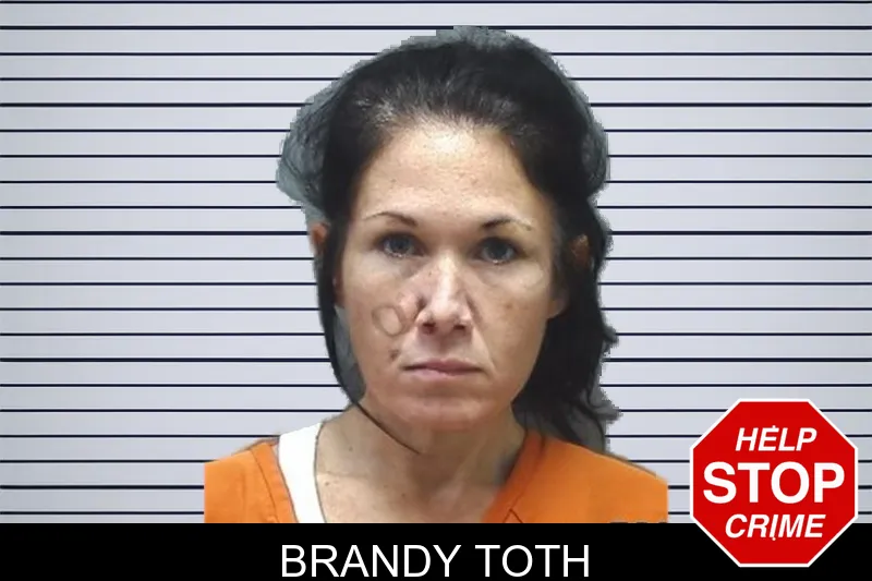 Brandy Toth mugshot – Cherokee County , Georgia Brandy Toth mugshot