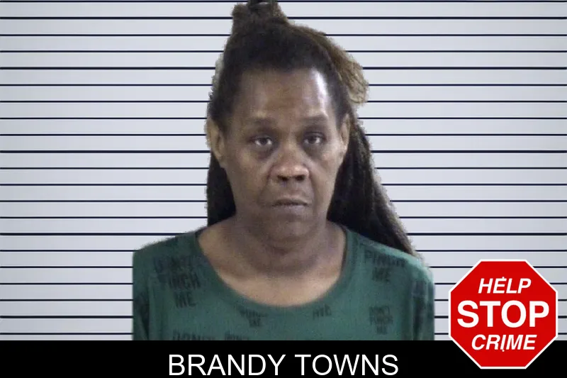 Brandy Towns mugshot