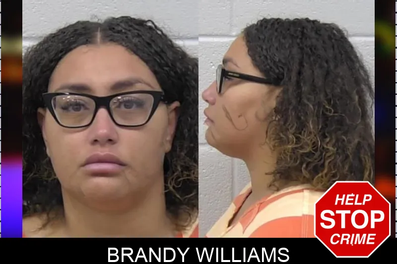 Brandy Williams mugshot – Paulding County , Georgia Brandy Williams mugshot