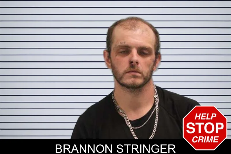 Brannon Stringer mugshot – Grady County , Georgia Brannon Stringer mugshot