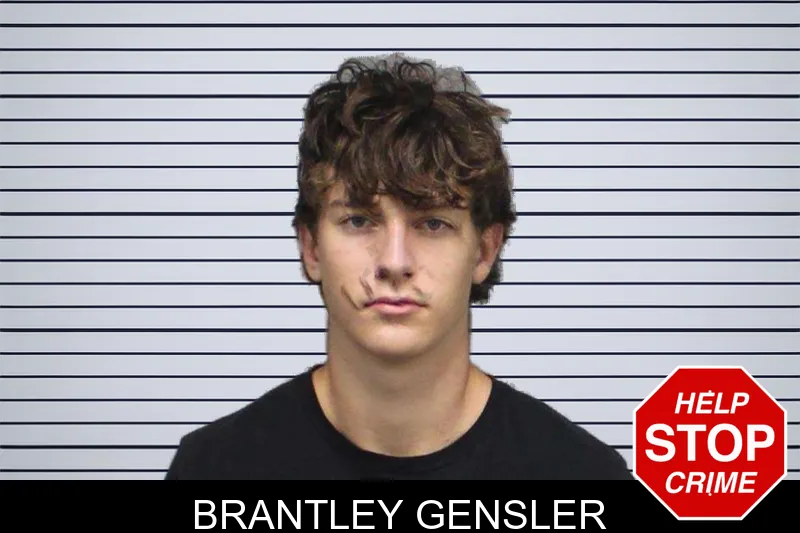 Brantley Gensler mugshot – White County , Georgia Brantley Gensler mugshot