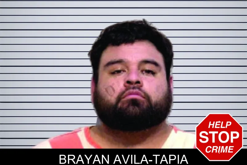 Brayan Avila-Tapia mugshot