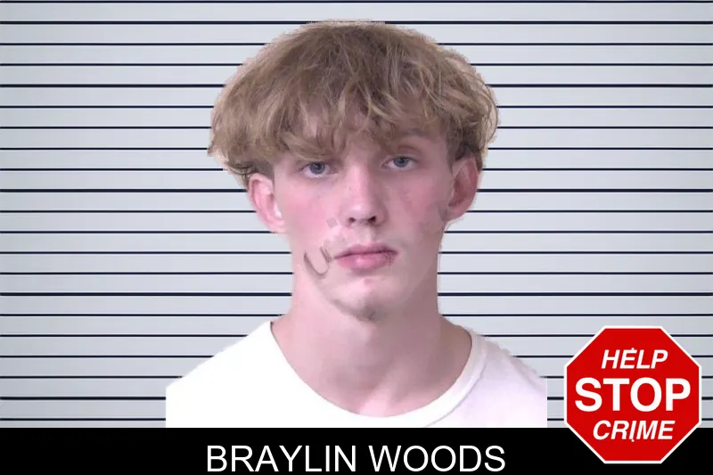 Braylin Woods mugshot – Walker County , Georgia Braylin Woods mugshot
