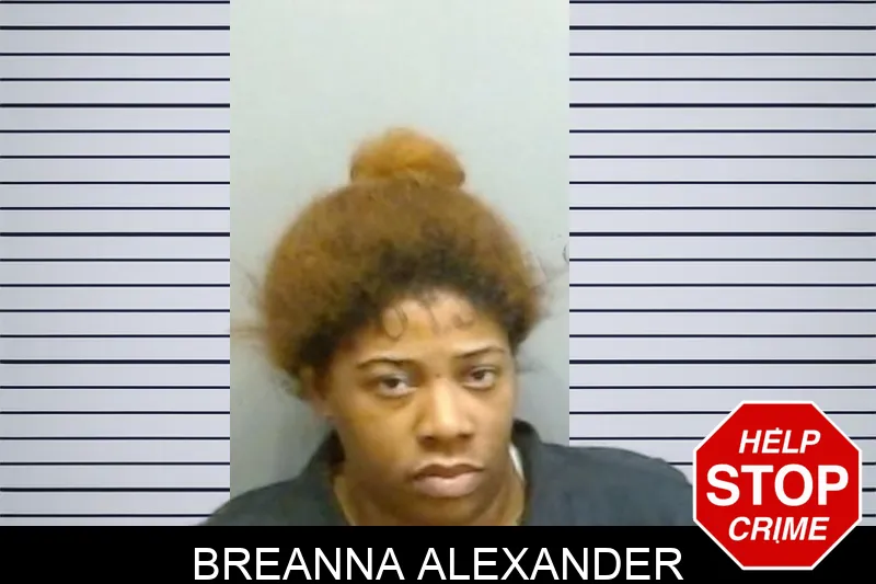 Breanna Alexander mugshot – Fulton County , Georgia Breanna Alexander mugshot