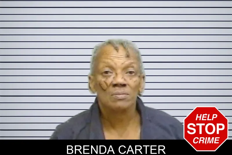 Brenda Carter mugshot – Fulton County , Georgia Brenda Carter mugshot