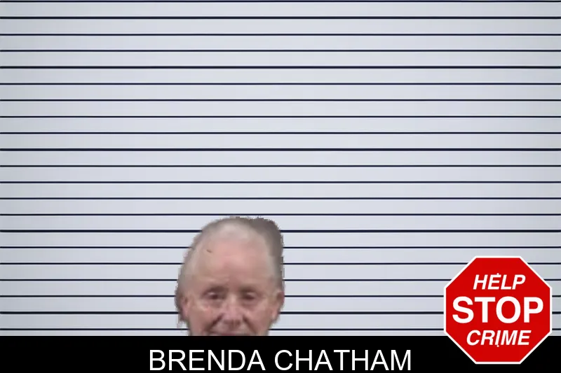 Brenda Chatham mugshot