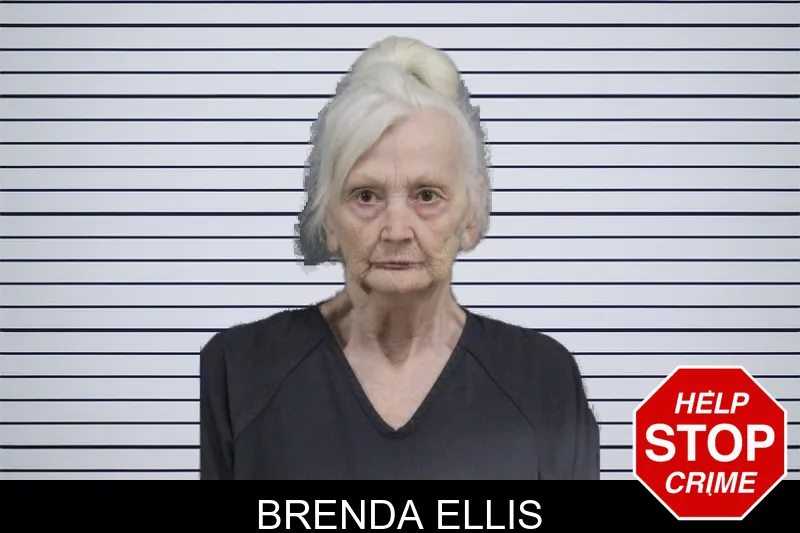 Brenda Ellis mugshot