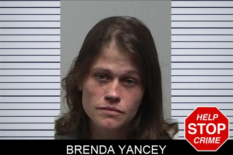 Brenda Yancey mugshot – Tift County , Georgia Brenda Yancey