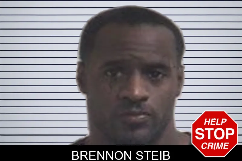 Brennon Steib mugshot