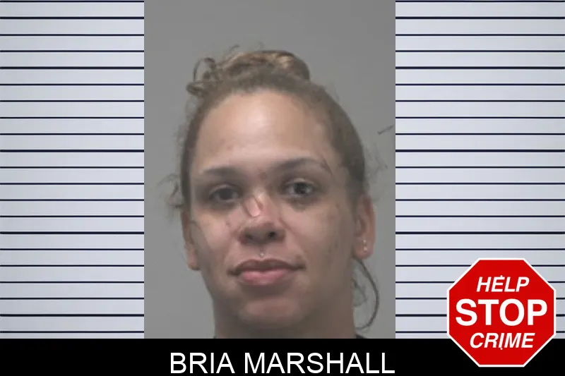 Bria Marshall mugshot