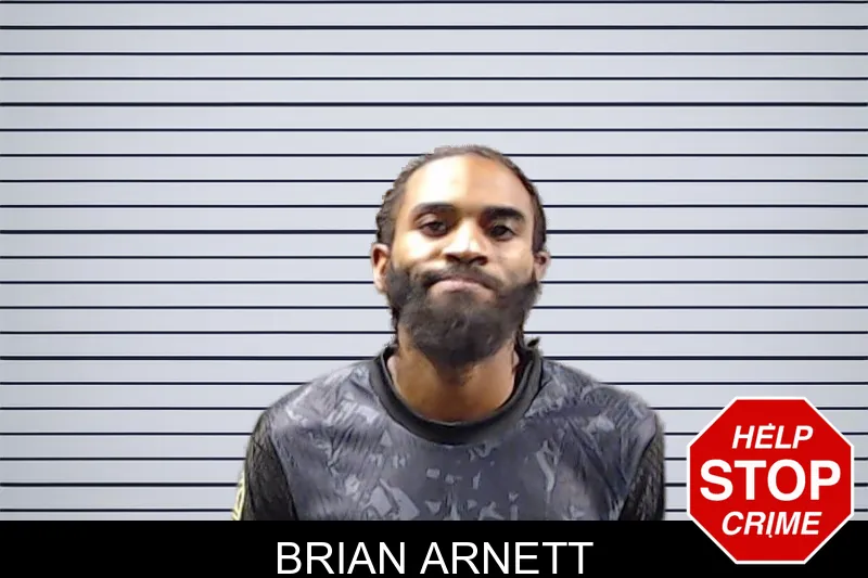 Brian Arnett mugshot