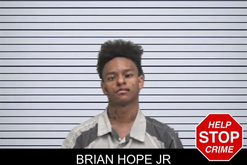 Brian Hope Jr mugshot – Dougherty County , Georgia Brian Hope Jr mugshot