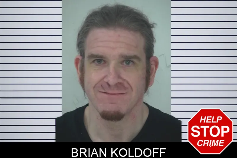 Brian Koldoff mugshot – Fayette County , Georgia Brian Koldoff mugshot