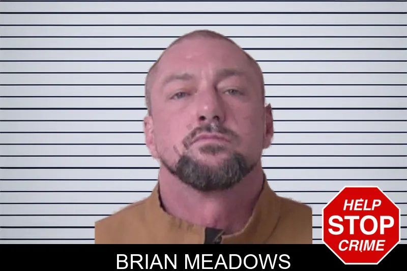 Brian Meadows mugshot