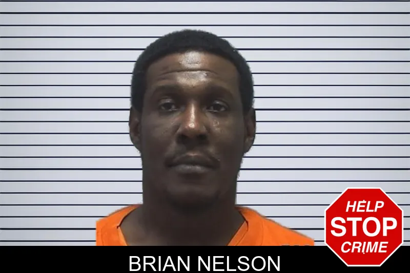 Brian Nelson mugshot – Cherokee County , Georgia Brian Nelson mugshot