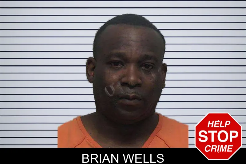 Brian Wells mugshot
