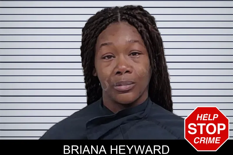 Briana Heyward mugshot – Lowndes County , Georgia Briana Heyward mugshot