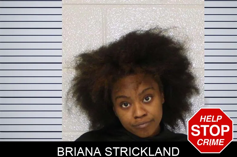 Briana Strickland mugshot – Carroll County , Georgia Briana Strickland mugshot