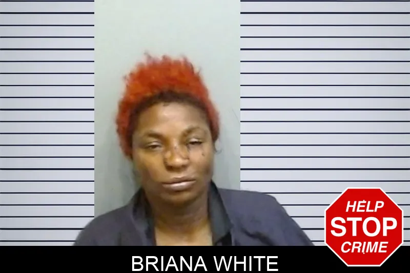 Briana White mugshot
