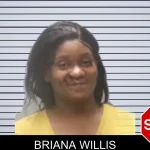 Briana Willis mugshot