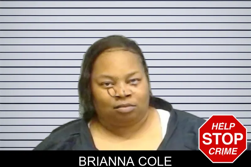 Brianna Cole mugshot – Fulton County , Georgia Brianna Cole mugshot