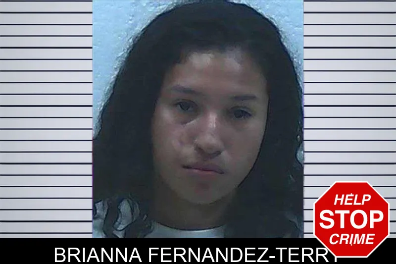Brianna Fernandez-Terry mugshot