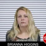 Brianna Higgins mugshot