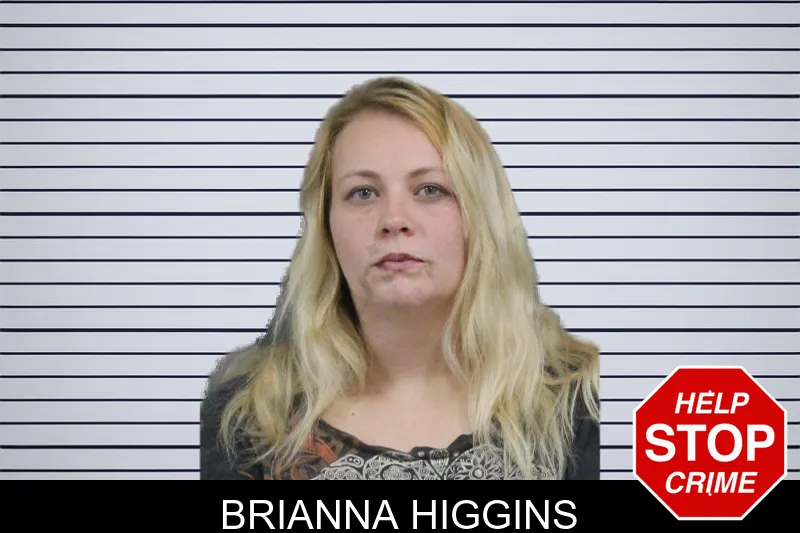Brianna Higgins mugshot – Catoosa County , Georgia Brianna Higgins mugshot