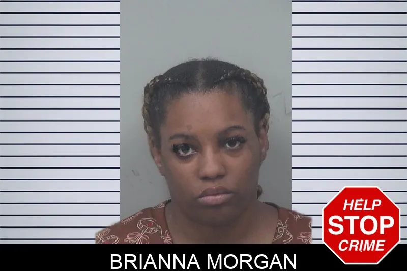 Brianna Morgan mugshot – Gwinnett County , Georgia Brianna Morgan mugshot