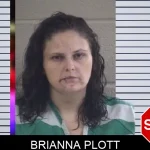 Brianna Plott mugshot – Whitfield County , Georgia Brianna Plott mugshot
