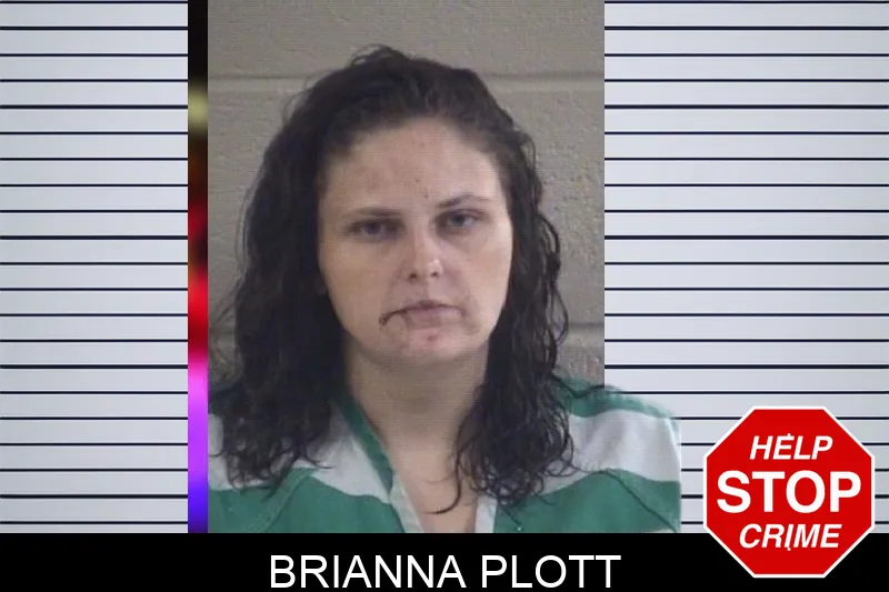 Brianna Plott mugshot – Whitfield County , Georgia Brianna Plott mugshot