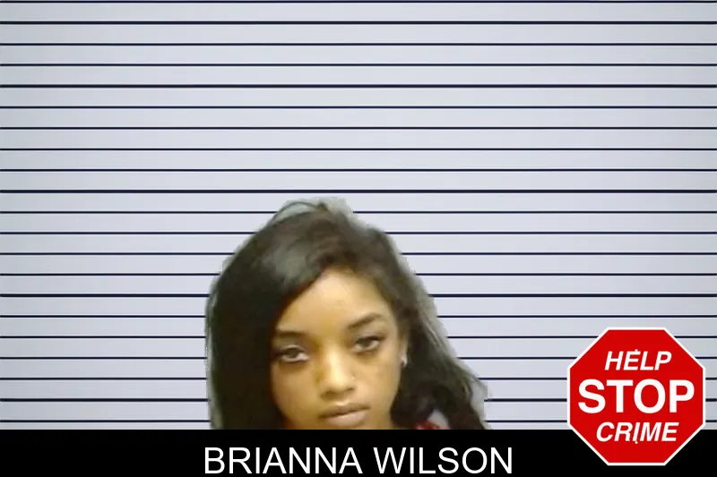 Brianna Wilson mugshot – Fulton County , Georgia Brianna Wilson mugshot