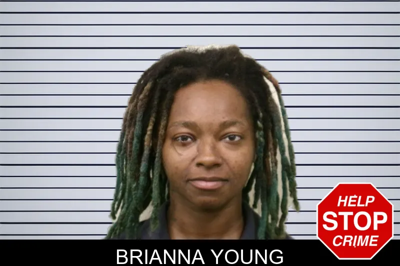 Brianna Young mugshot – Bulloch County , Georgia Brianna Young mugshot