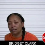 Bridget Clark mugshot – Wayne County , Georgia Bridget Clark mugshot
